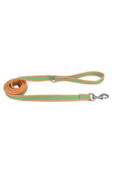 Coastal Orange and Lime Reflective Leash