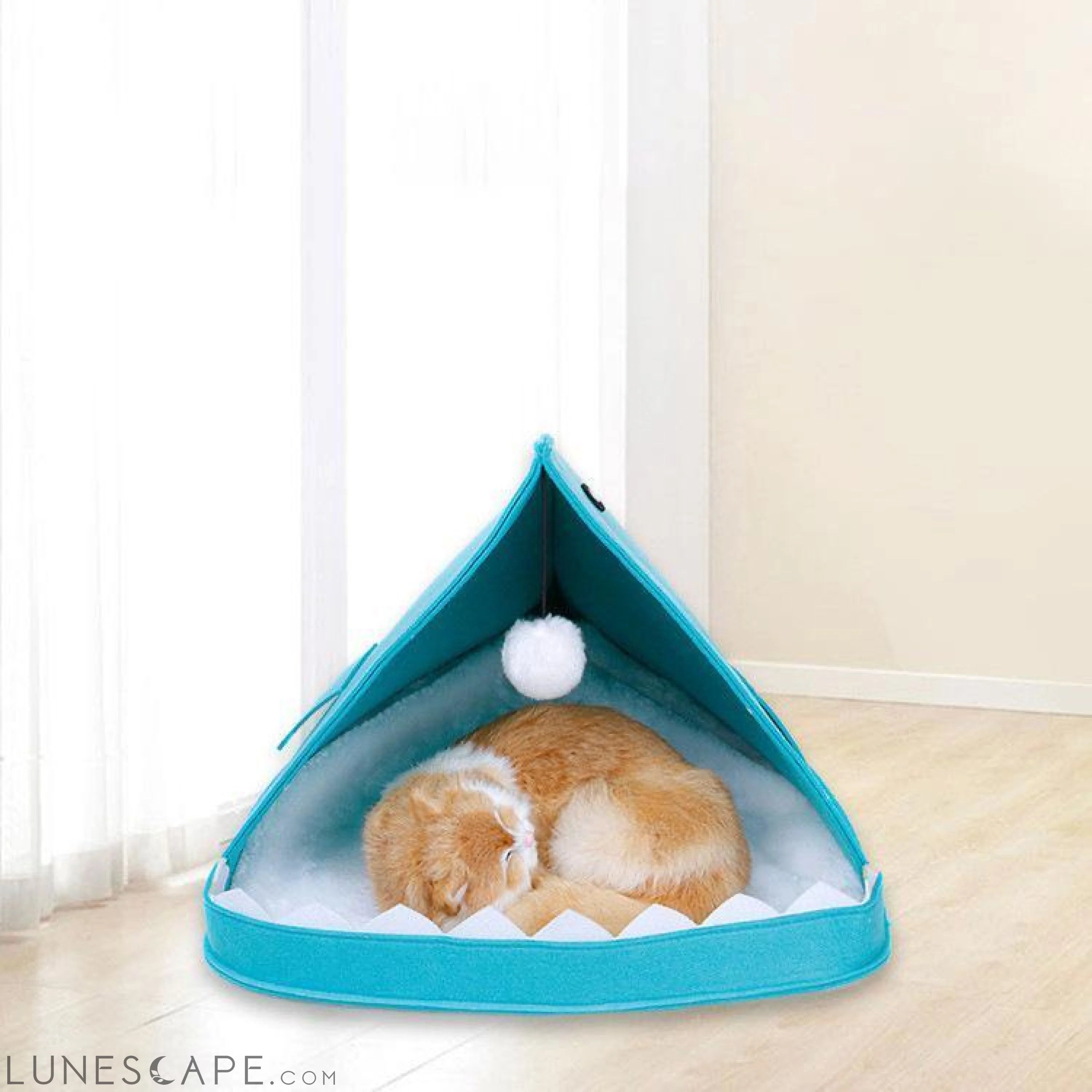 Sharky Cat House