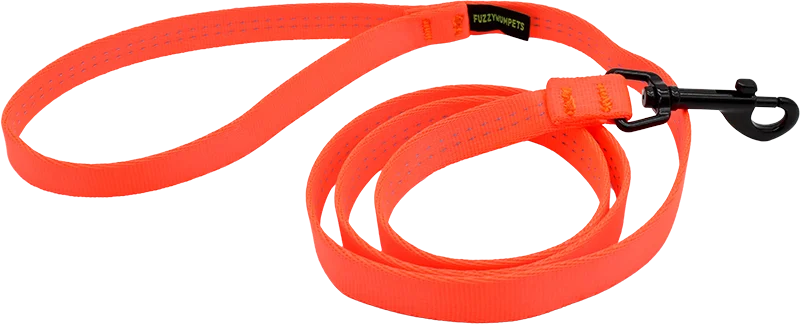 Soft Tubular Snap Leash