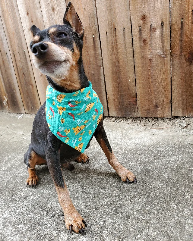 Tacos Over the Collar Pet Bandana