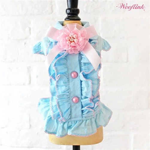 Wooflink Ruffle Shirt in Blue